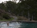 0110-1646 Thermal pool (1106216)